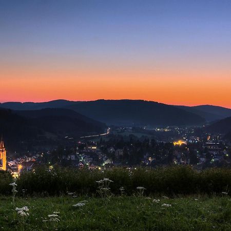 Drei Tannen - Wohnung 11 - Apartmenthaus, Titisee, Feldberg מראה חיצוני תמונה