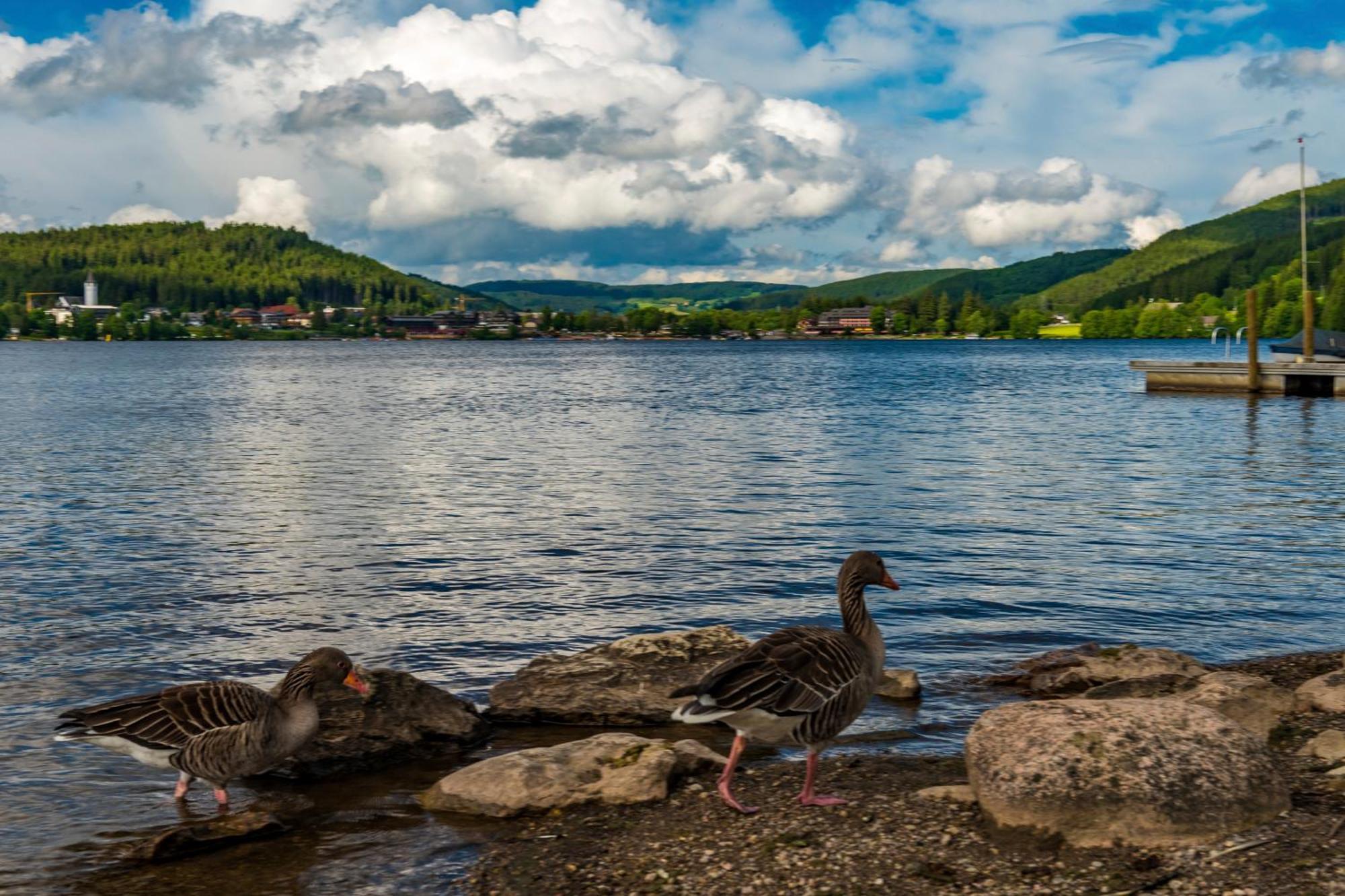 Drei Tannen - Wohnung 11 - Apartmenthaus, Titisee, Feldberg מראה חיצוני תמונה